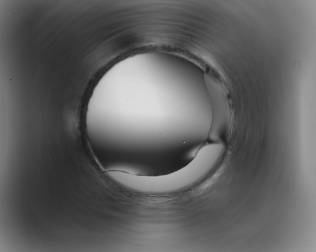 X0000088700826200706282021