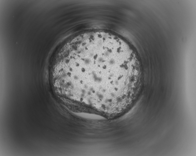 X0000088700827200706282021