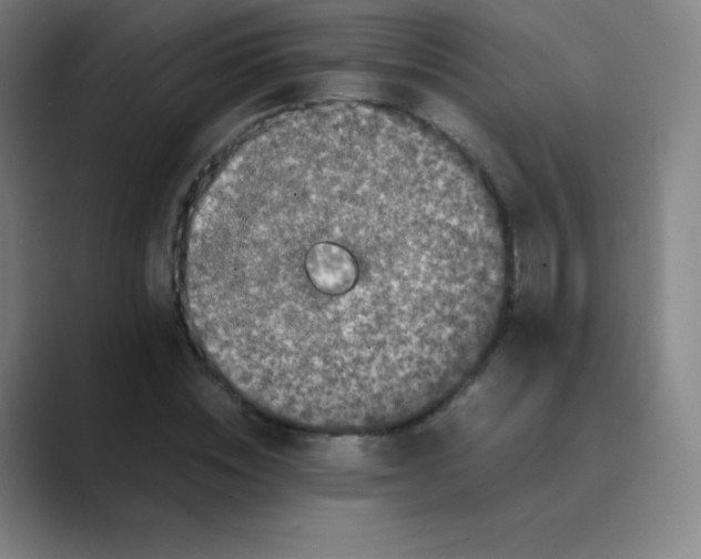 X0000088700828200706282021