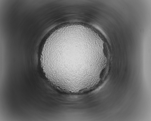 X0000088700829200706282021