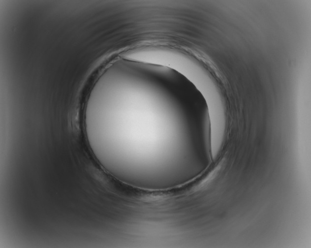 X0000088700830200706282021