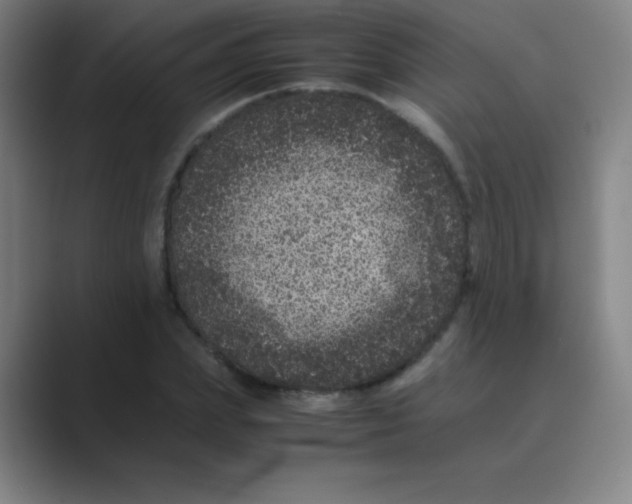 X0000088700831200706282021