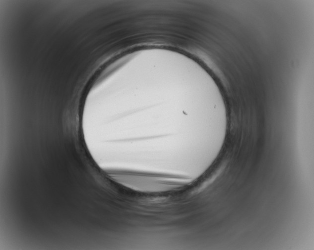 X0000088700837200706282021