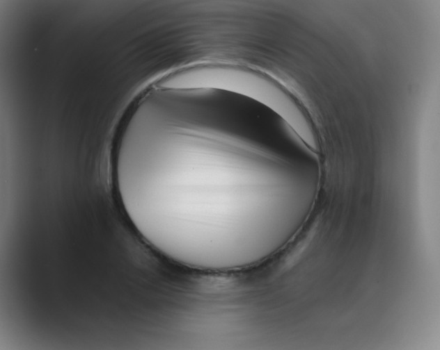 X0000088700838200706282021