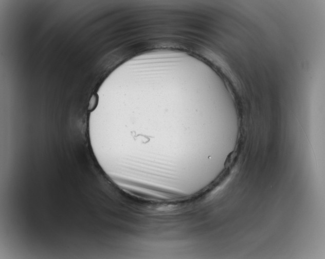 X0000088700841200706282021