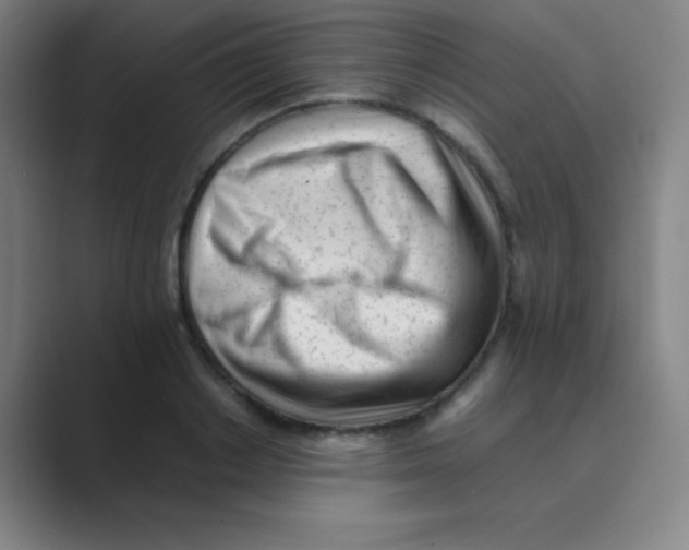 X0000088700842200706282021