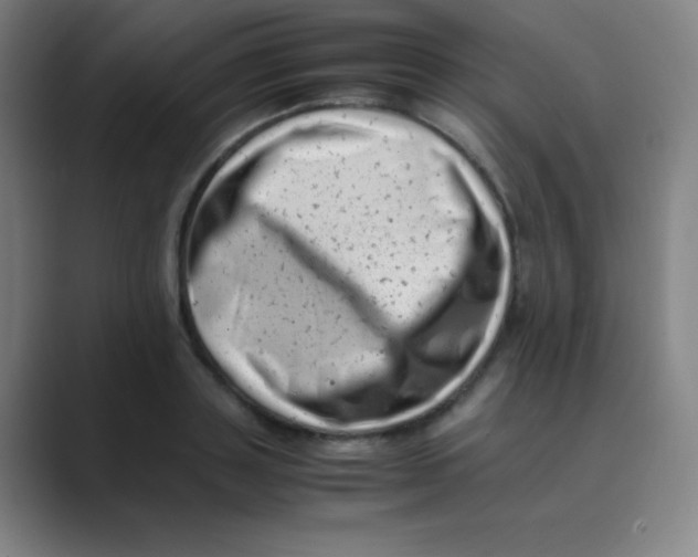 X0000088700843200706282021