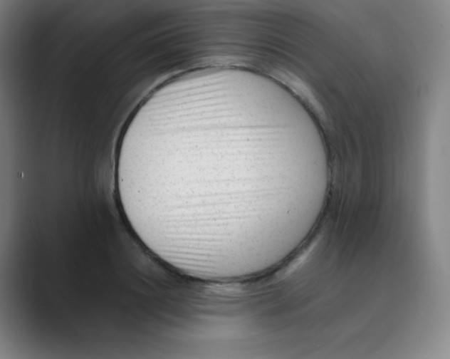 X0000088700844200706282021