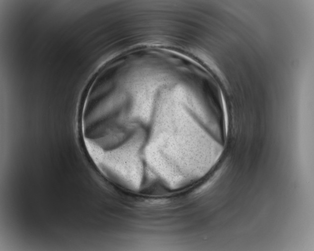 X0000088700845200706282021