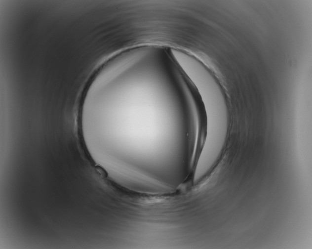 X0000088700846200706282021