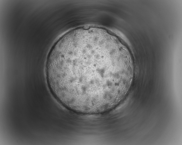 X0000088700847200706282021