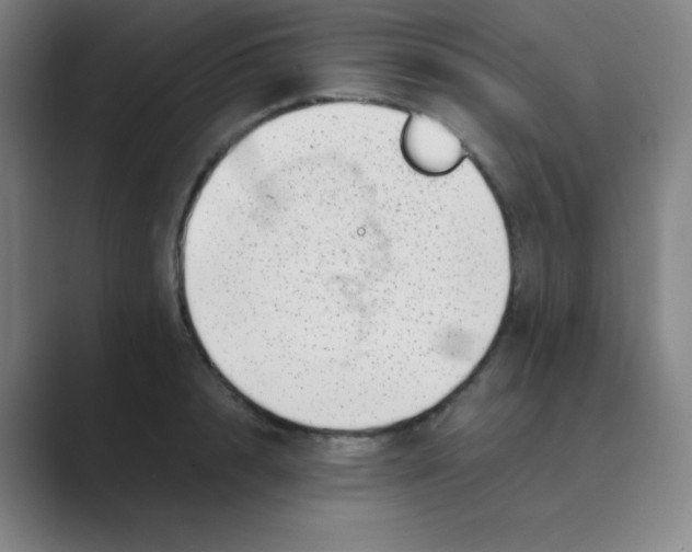 X0000088700848200706282021