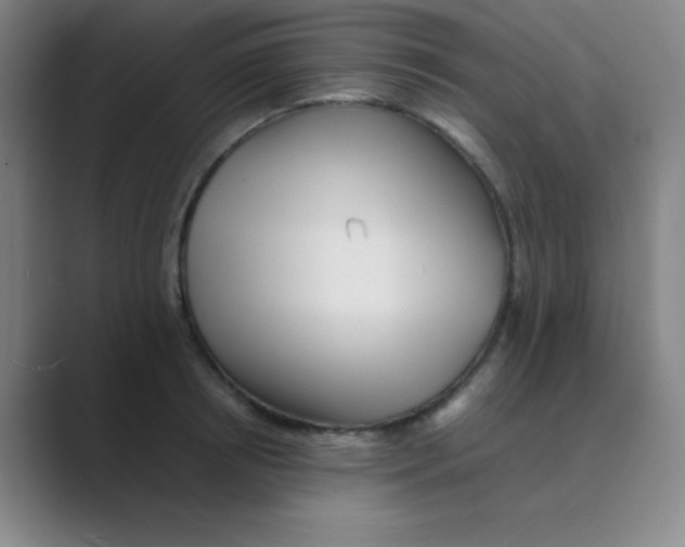 X0000088700850200706282021