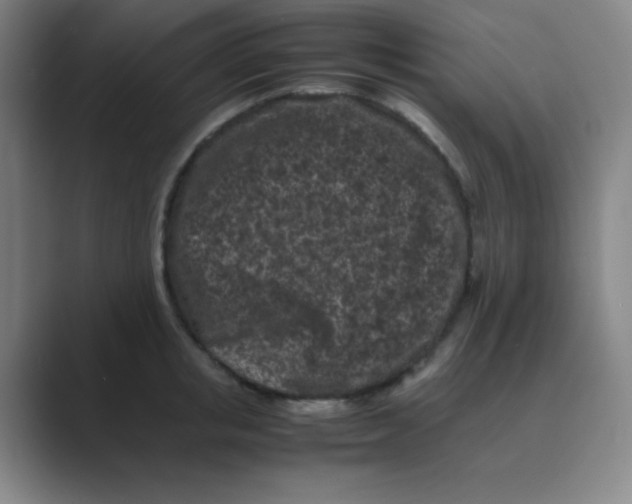 X0000088700853200706282021