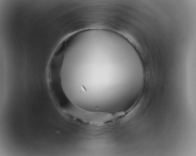 X0000088700854200706282021