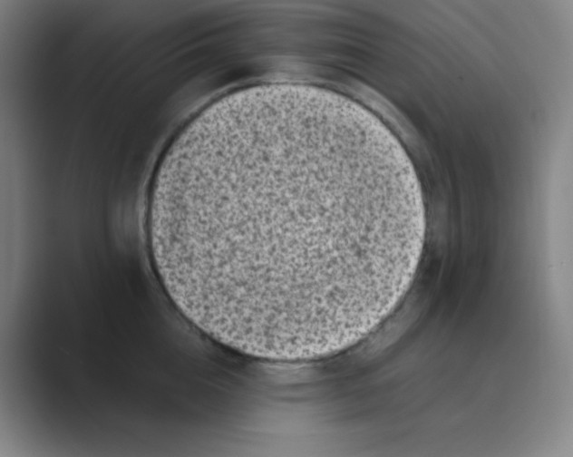 X0000088700856200706282021