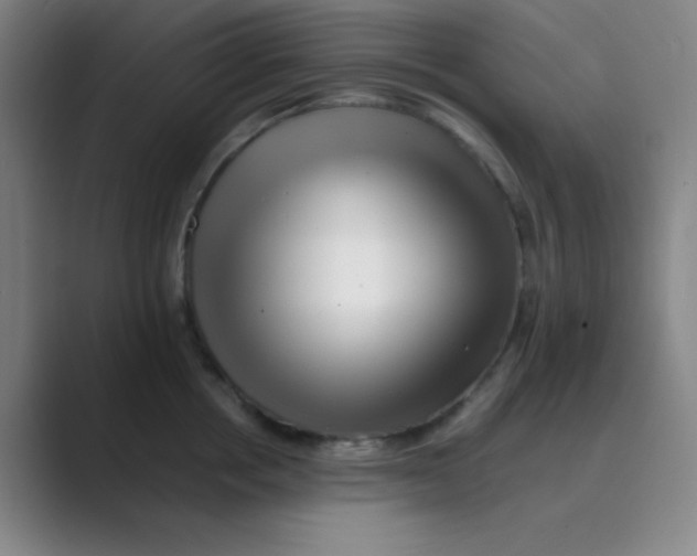 X0000088700858200706282021