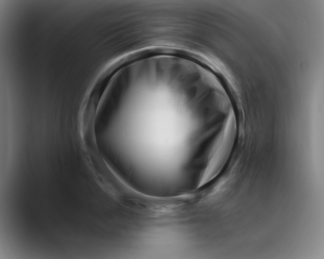 X0000088700862200706282021