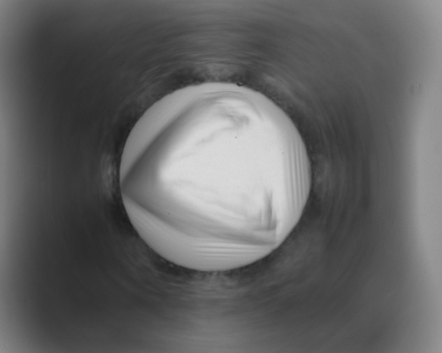 X0000088700866200706282021