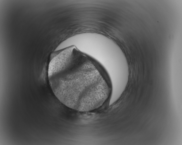 X0000088700868200706282021