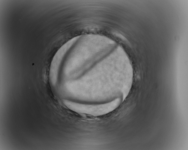 X0000088700869200706282021