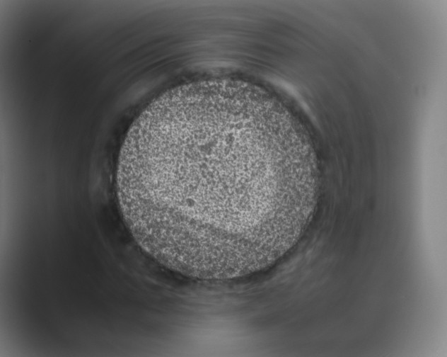 X0000088700871200706282021