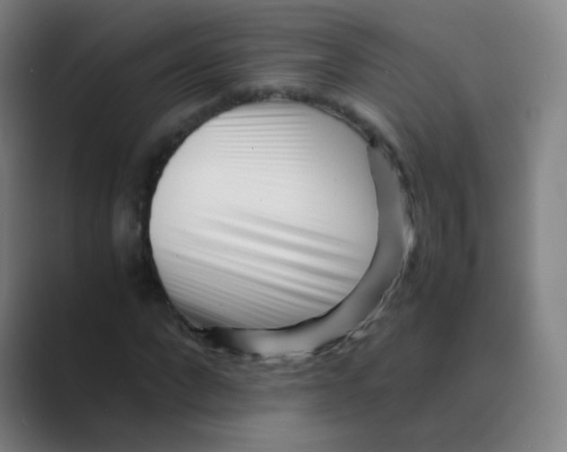 X0000088700872200706282021