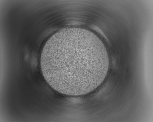 X0000088700874200706282021