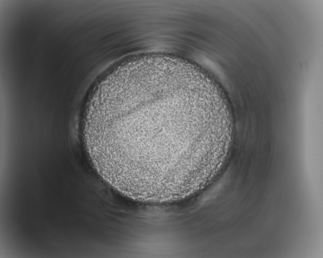 X0000088700875200706282021