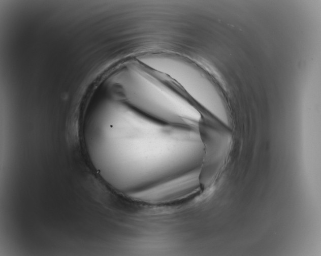 X0000088700877200706282021