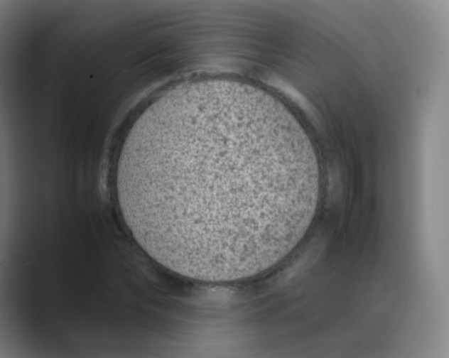 X0000088700878200706282021