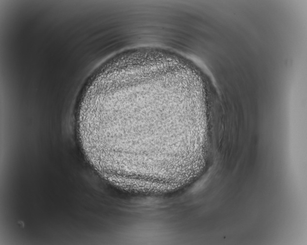 X0000088700879200706282021