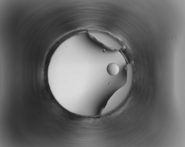 X0000088700880200706282021