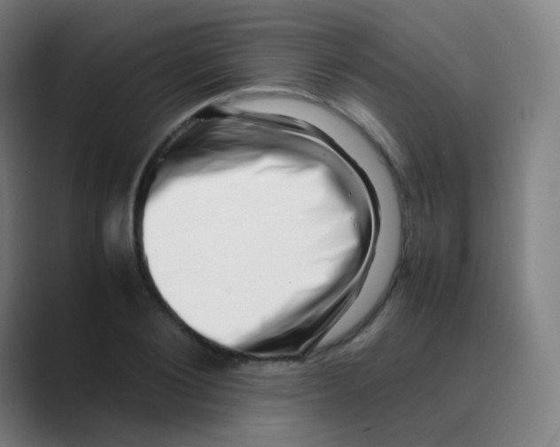 X0000088700884200706282021