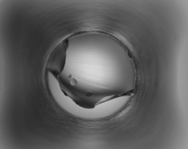 X0000088700885200706282021