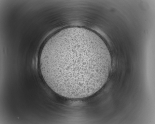 X0000088700886200706282021