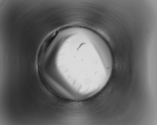 X0000088700888200706282021