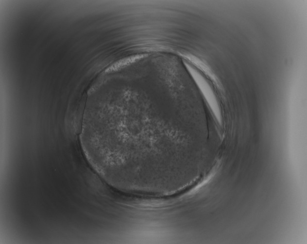 X0000088700889200706282021