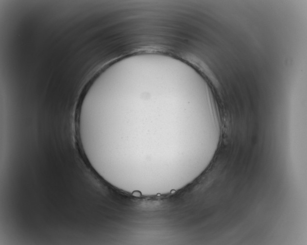 X0000088700890200706282021