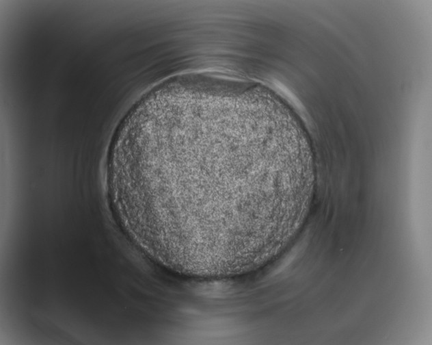 X0000088700891200706282021