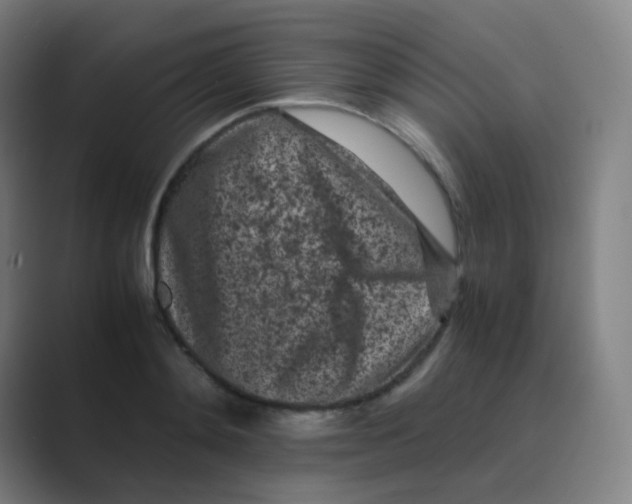 X0000088700892200706282021