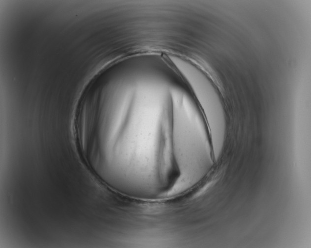 X0000088700893200706282021