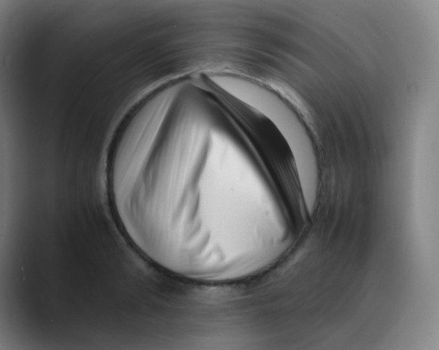 X0000088700894200706282021