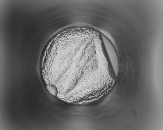 X0000088700895200706282020