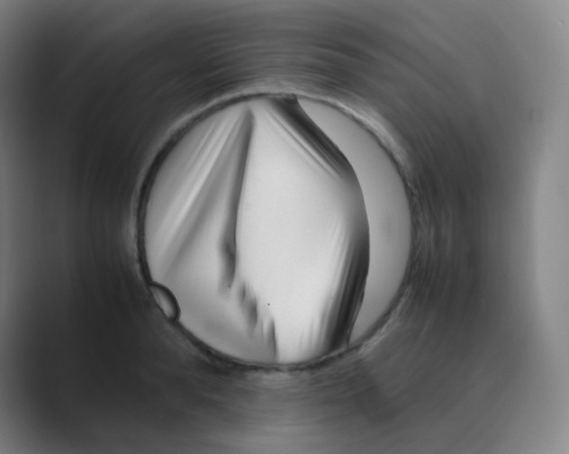 X0000088700896200706282020