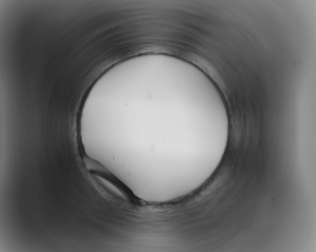 X0000088700898200706282020