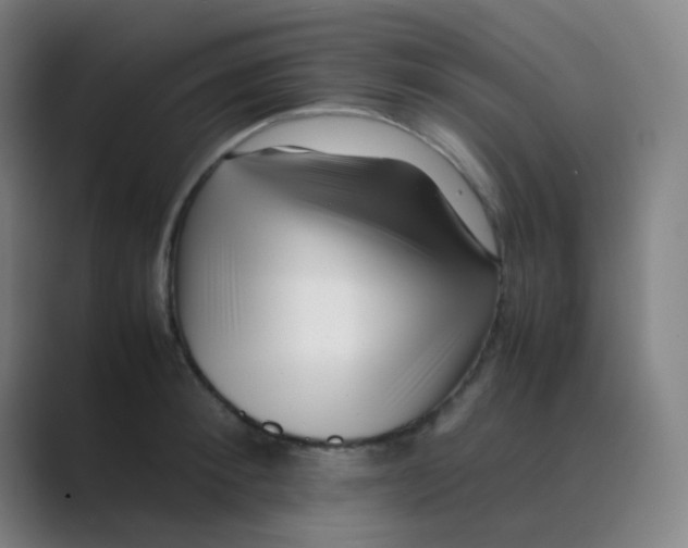 X0000088700900200706282020