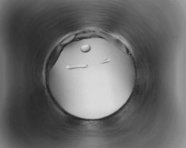 X0000088700902200706282020