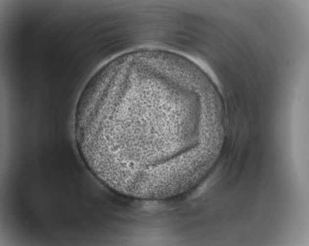 X0000088700903200706282020