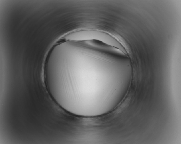 X0000088700904200706282020